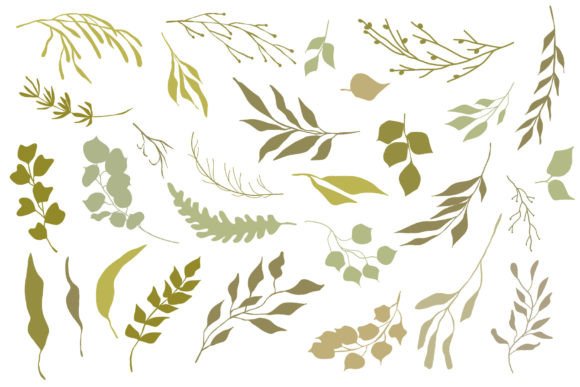 Botanical Illustrations Set: 29 Hand-Drawn Vectors for Natural Design