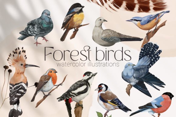 Bring Nature Indoors with Watercolor Forest Birds Illustrations