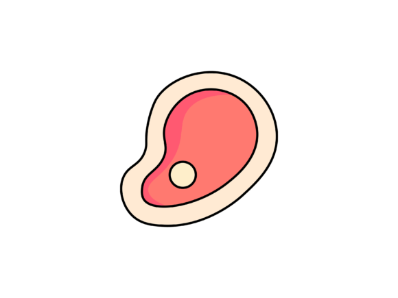 Farming Meat Illustrations: A Design Toolkit for Every Season