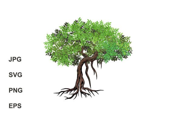 Mangrove Tree Illustrations: Your Ultimate Design Asset