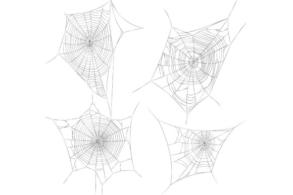 Spider Web Illustrations: Beyond a Simple Font